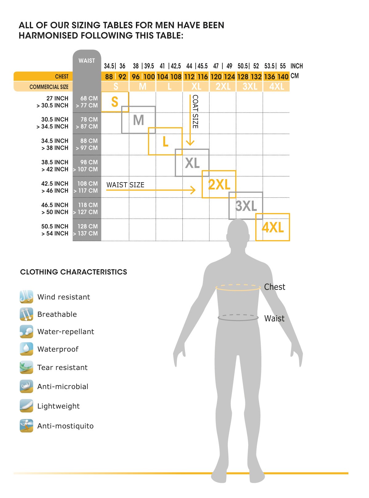 BW Size Chart